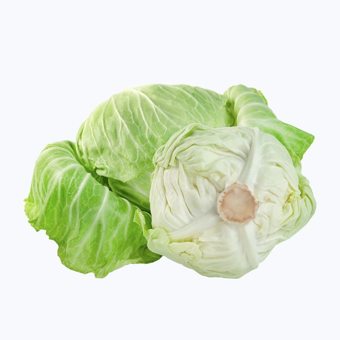 White Cabbage