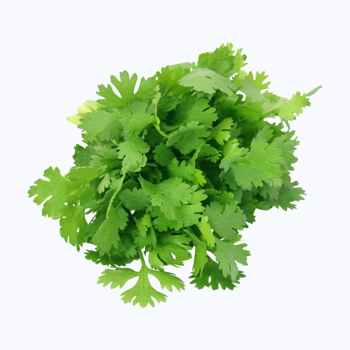 Coriander Leaves