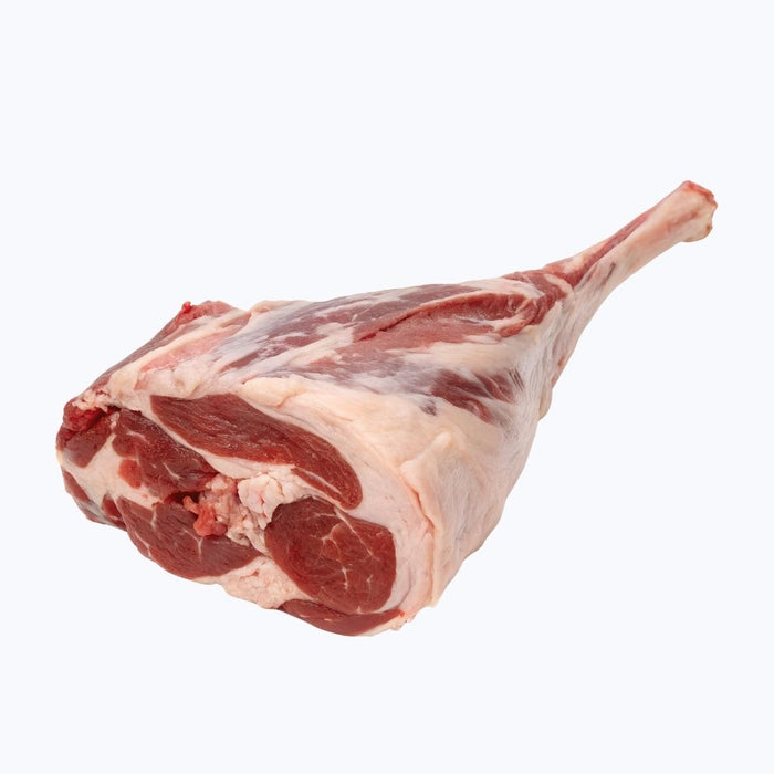 Sheep Leg Fresh