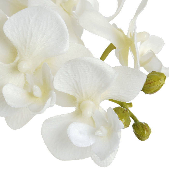 Harmony White Potted Orchid - Vitaly Decor