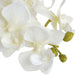 Harmony White Potted Orchid - Vitaly Decor
